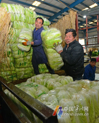 寧波蔬菜批發(fā)市場貨足價(jià)穩(wěn) 新鮮蔬菜批發(fā)井然有序